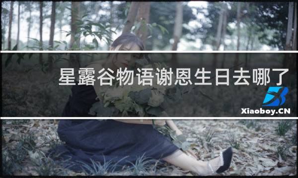 星露谷物语谢恩生日去哪了