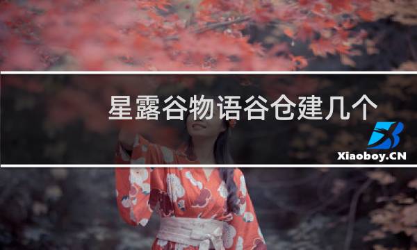 星露谷物语谷仓建几个