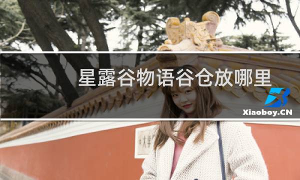 星露谷物语谷仓放哪里