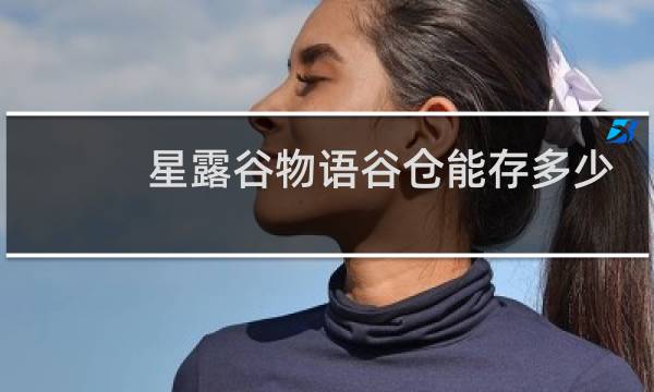 星露谷物语谷仓能存多少