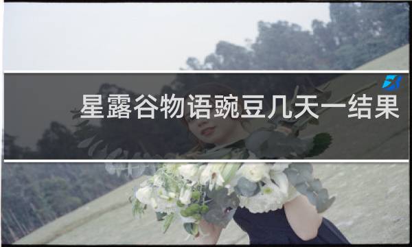 星露谷物语豌豆几天一结果