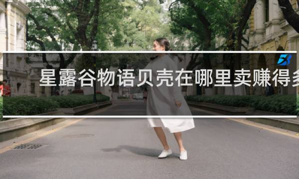 星露谷物语贝壳在哪里卖赚得多