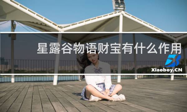 星露谷物语财宝有什么作用