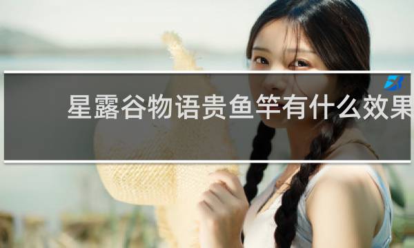 星露谷物语贵鱼竿有什么效果