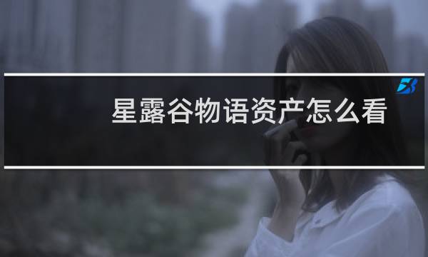 星露谷物语资产怎么看