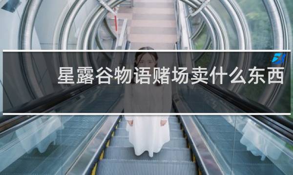 星露谷物语赌场卖什么东西