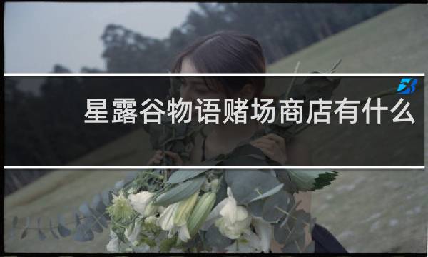 星露谷物语赌场商店有什么