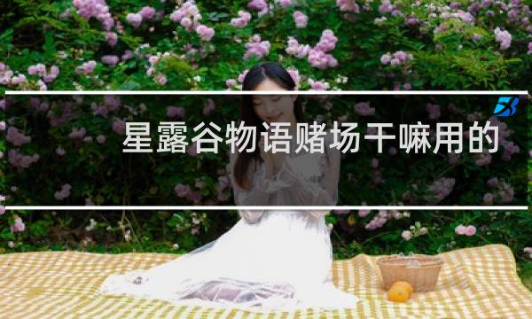 星露谷物语赌场干嘛用的