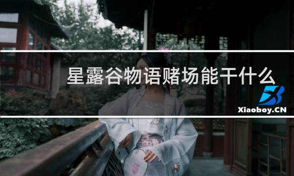 星露谷物语赌场能干什么