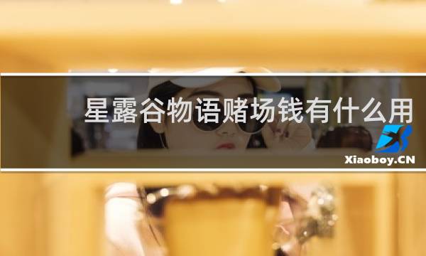 星露谷物语赌场钱有什么用