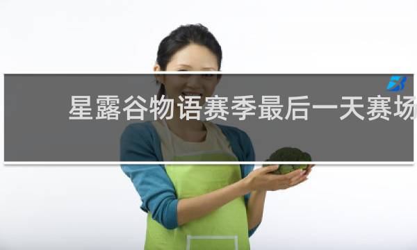 星露谷物语赛季最后一天赛场
