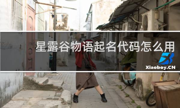 星露谷物语起名代码怎么用