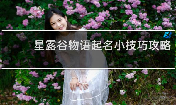 星露谷物语起名小技巧攻略
