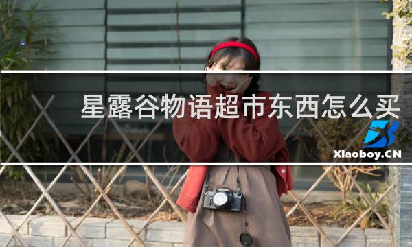 星露谷物语超市东西怎么买