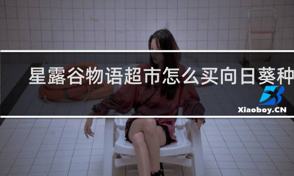 星露谷物语超市怎么买向日葵种子