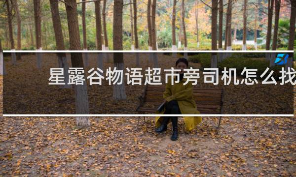 星露谷物语超市旁司机怎么找