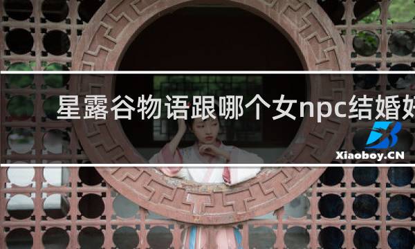 星露谷物语跟哪个女npc结婚好