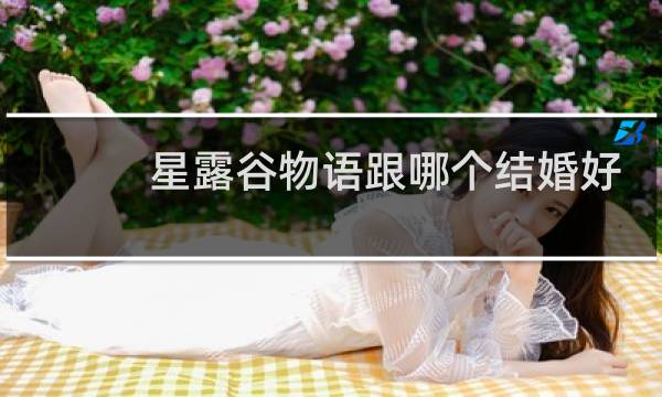 星露谷物语跟哪个结婚好
