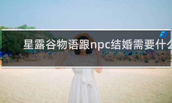 星露谷物语跟npc结婚需要什么