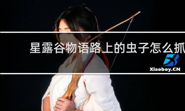 星露谷物语路上的虫子怎么抓