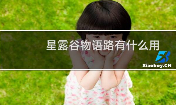 星露谷物语路有什么用