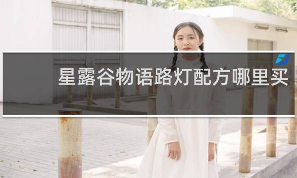 星露谷物语路灯配方哪里买