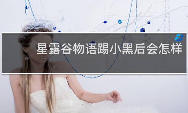 星露谷物语踢小黑后会怎样