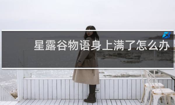 星露谷物语身上满了怎么办