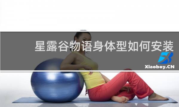 星露谷物语身体型如何安装