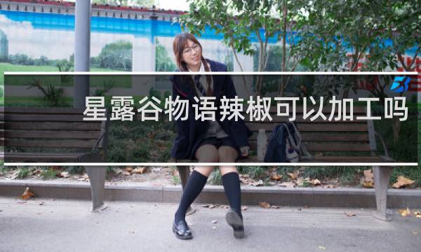 星露谷物语辣椒可以加工吗