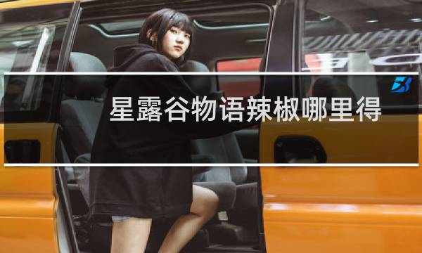 星露谷物语辣椒哪里得