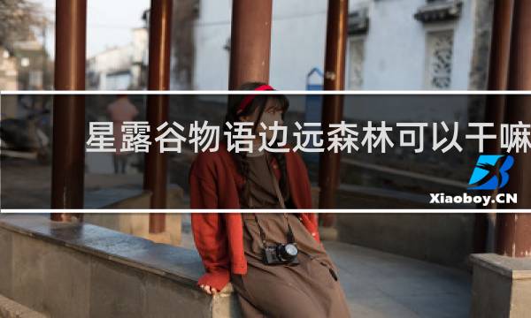 星露谷物语边远森林可以干嘛