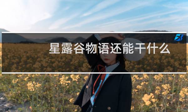 星露谷物语还能干什么