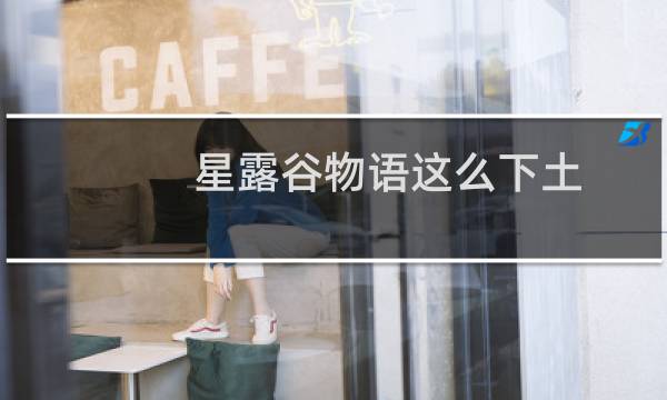 星露谷物语这么下土