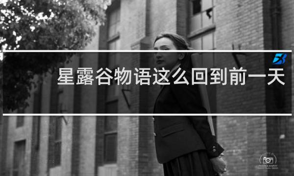 星露谷物语这么回到前一天