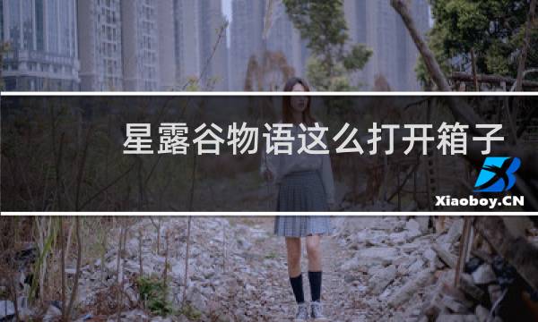 星露谷物语这么打开箱子