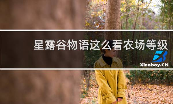 星露谷物语这么看农场等级