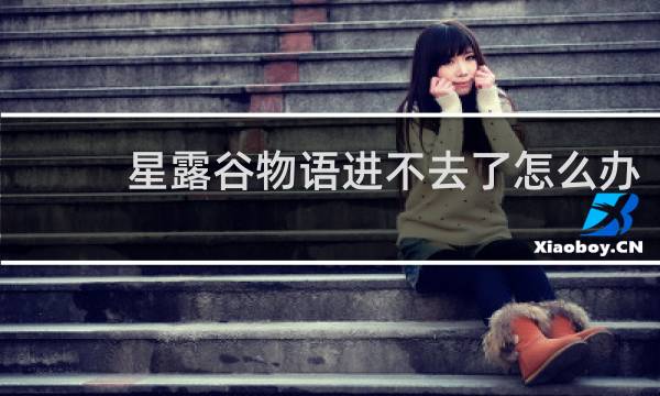 星露谷物语进不去了怎么办