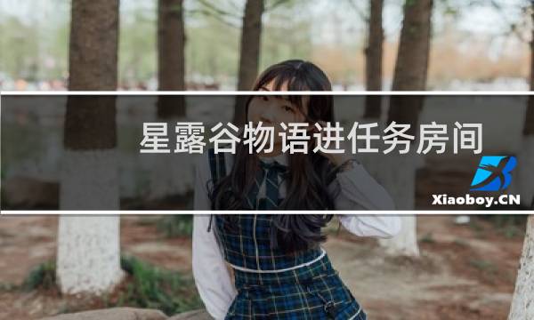星露谷物语进任务房间