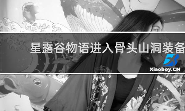 星露谷物语进入骨头山洞装备