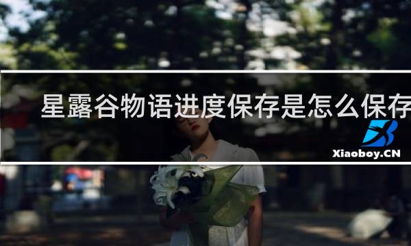 星露谷物语进度保存是怎么保存的
