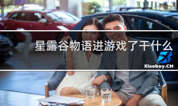 星露谷物语进游戏了干什么