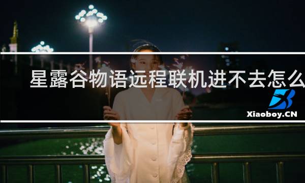 星露谷物语远程联机进不去怎么办