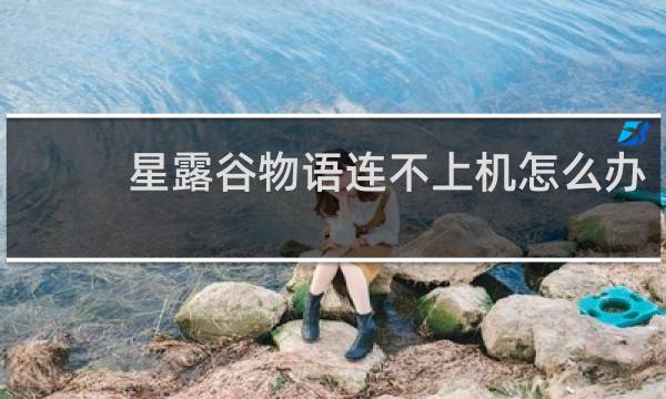 星露谷物语连不上机怎么办