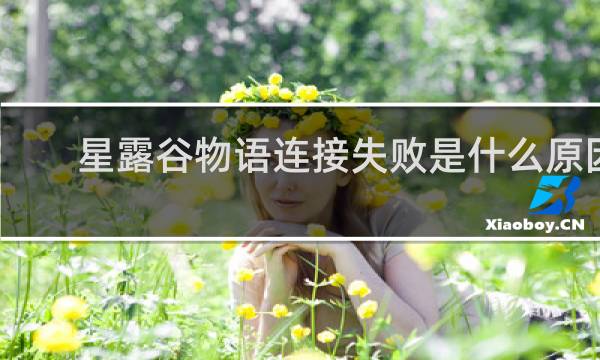 星露谷物语连接失败是什么原因
