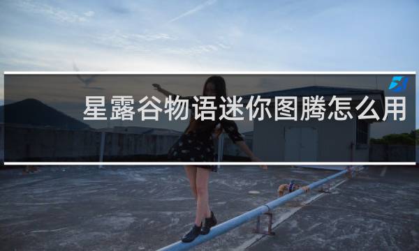 星露谷物语迷你图腾怎么用