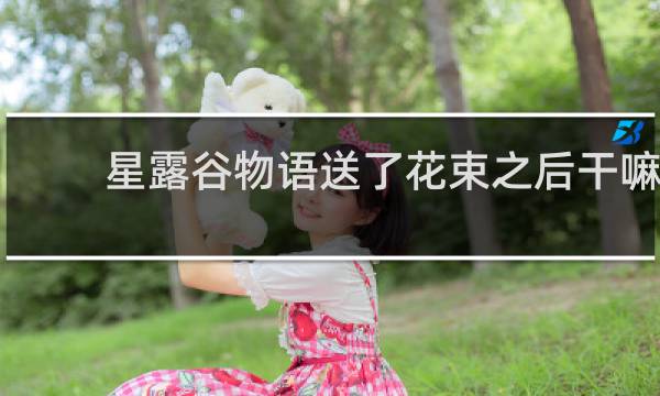 星露谷物语送了花束之后干嘛