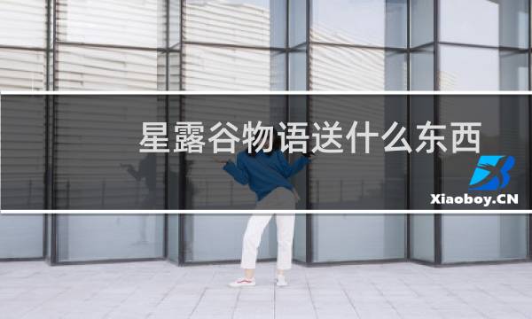 星露谷物语送什么东西