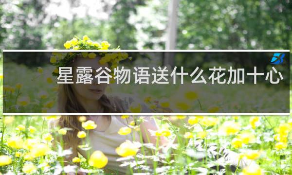 星露谷物语送什么花加十心