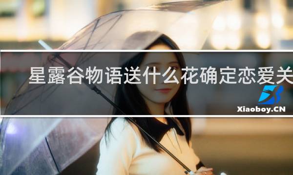 星露谷物语送什么花确定恋爱关系